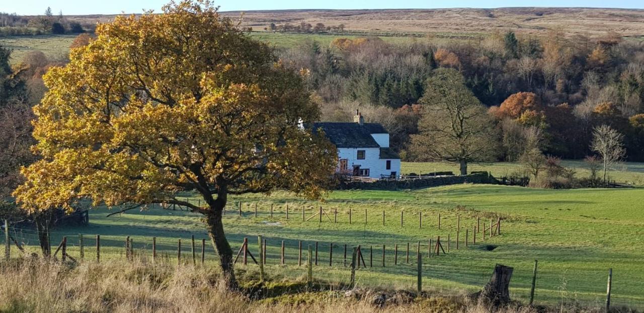 Lower Turnerford Farmhouse Newby  Extérieur photo